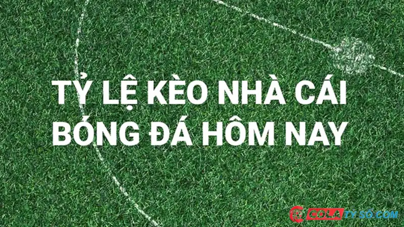 Sơ lược về tỷ lệ kèo nhà cái