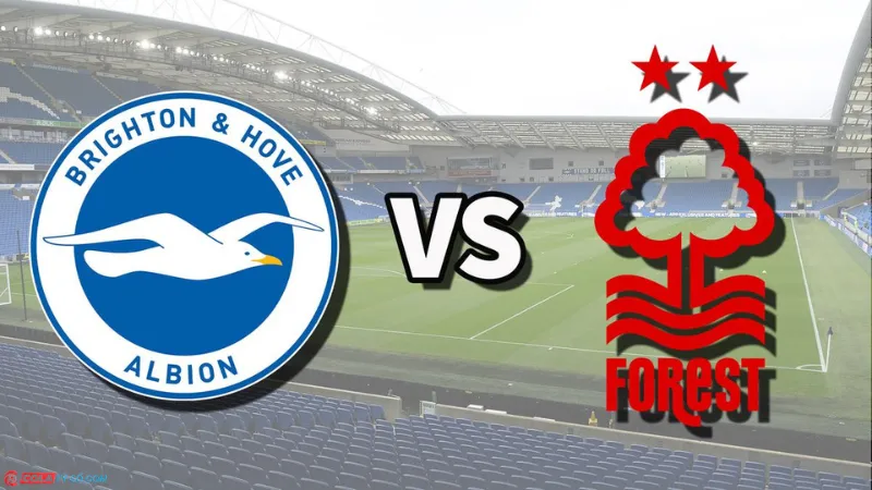 Soi kèo Brighton vs Nottingham lúc 20h00 ngày 22/09: Ngoại hạng Anh